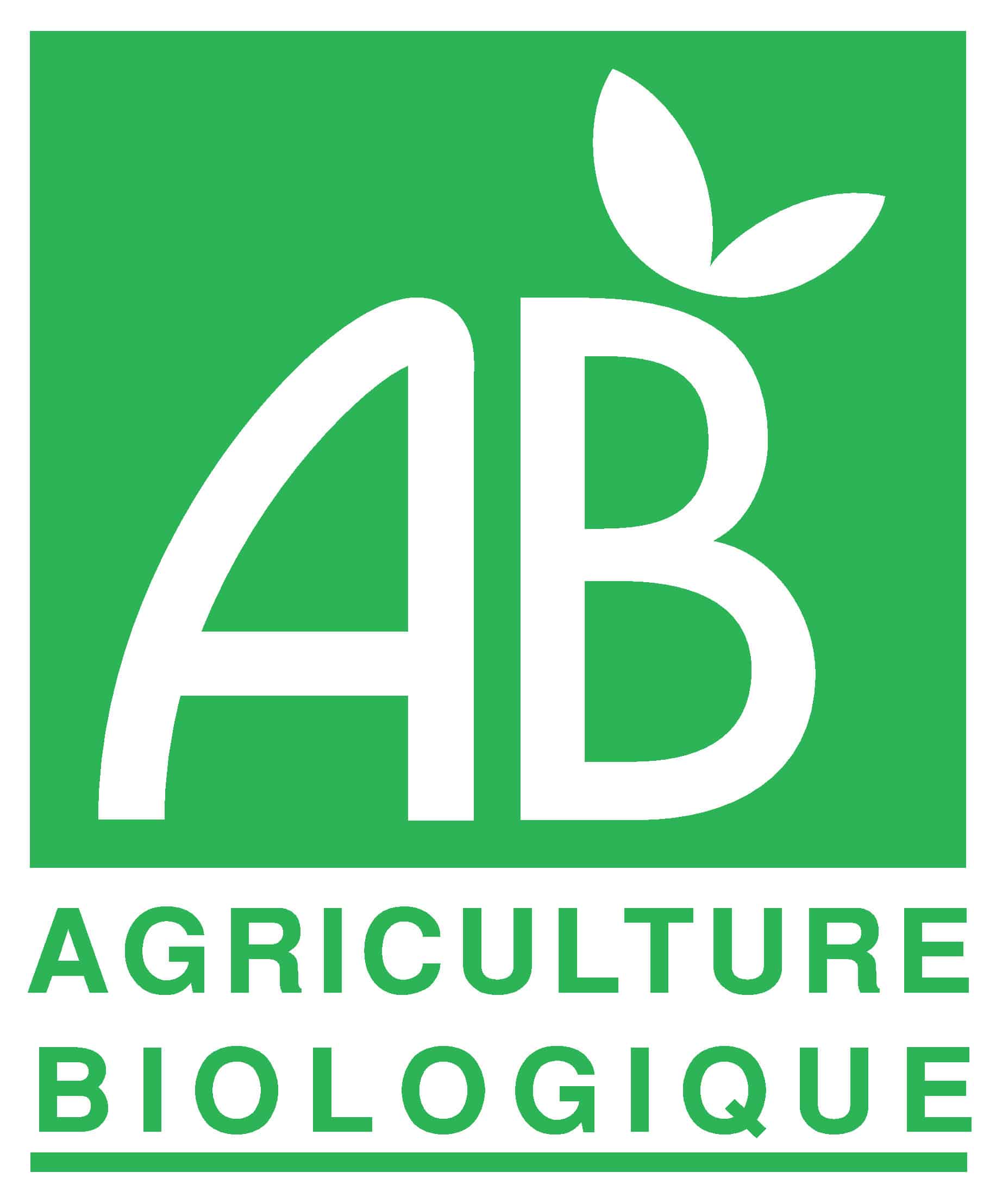 Bio 6 Bio 6