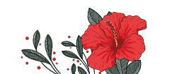 Fleurs d’Hibiscus 3