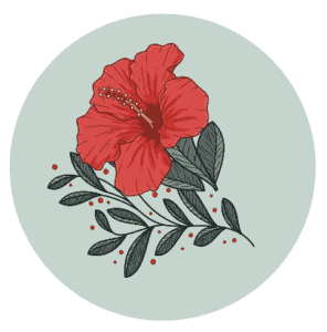 Tisane Fleurs D'Hibiscus Bio - Bissap, Thé Glacé - Infusion Detox