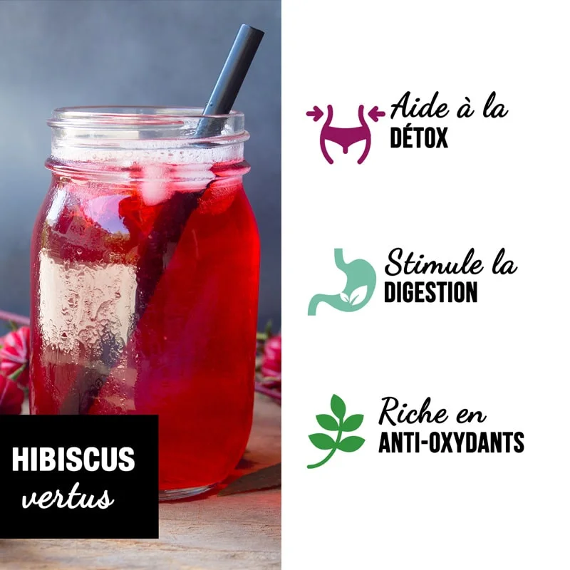 Infusion d'hibiscus, propriétés : 8 bienfaits de cette boisson