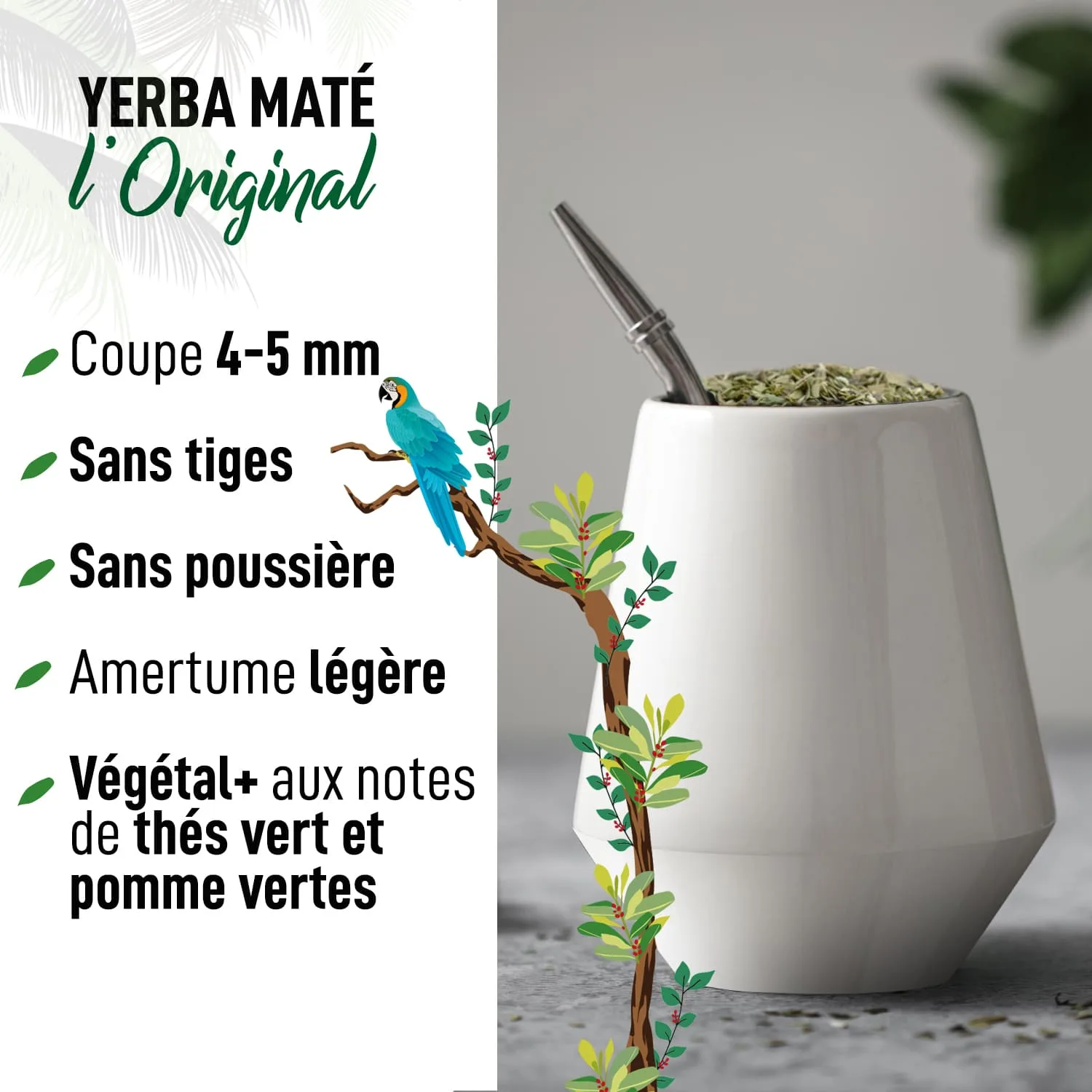 yerba maté