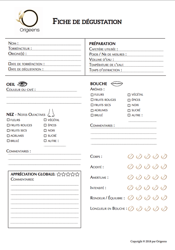 fiche dégustation de café en grain