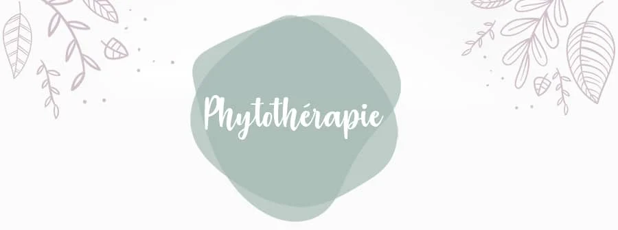 La tisane règle douloureuse 8 phytotherapie