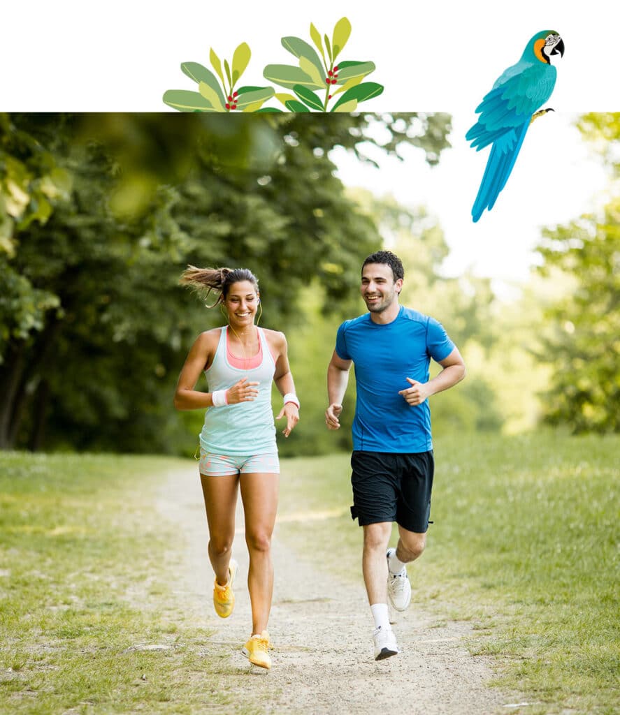 le jogging du perroquet
