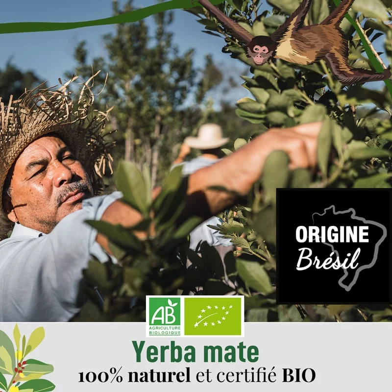 Yerba Mate 200g - Thé Mate - Herbes Mate - Mate Vert - Mate en Vrac -  Propriétés Naturelles (200 gr)