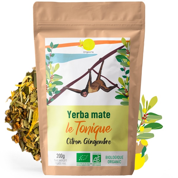 Yerba Mate citron gingembre - le tonique