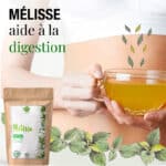 La Mélisse aide à la digestion