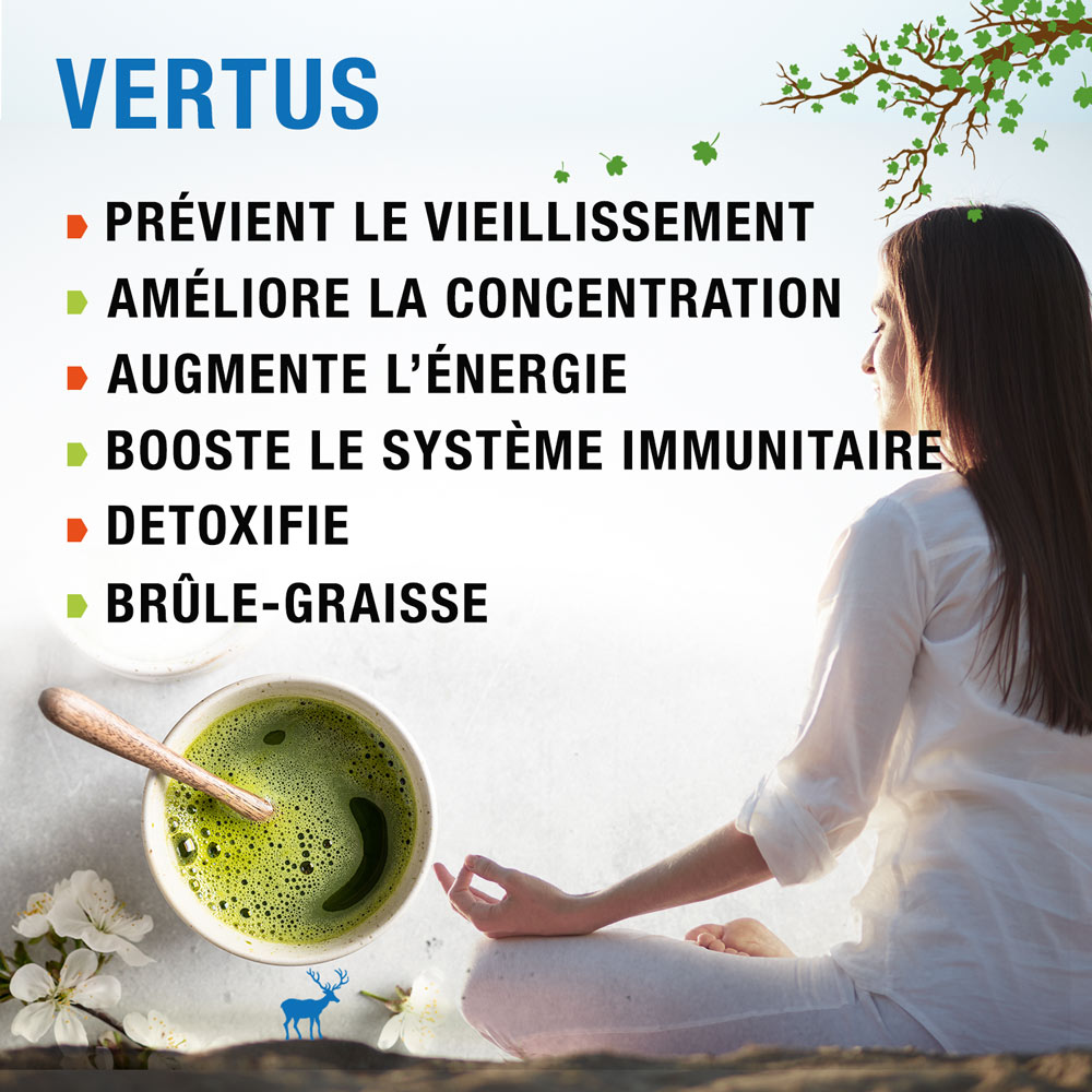 matcha cérémonial