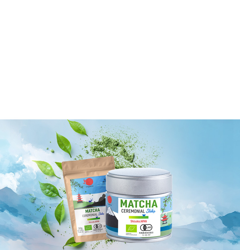Matcha cérémonial Shika