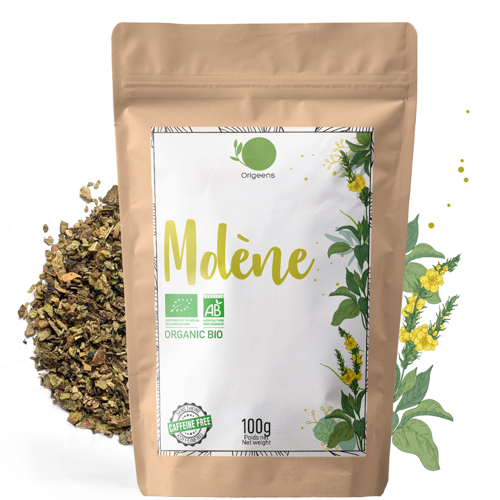 Feuilles de Molène Bouillon blanc