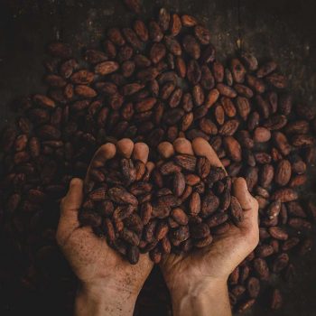 Cafe-torrefaction-artisanale Cafe-torrefaction-artisanale